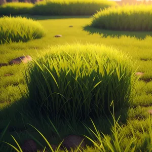 Golden Sunset over Rural Aquatic Landscape