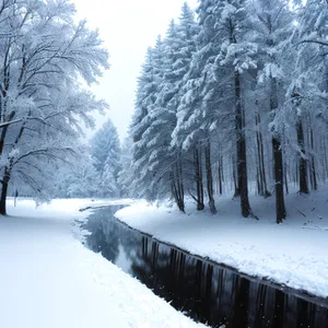 Winter Wonderland: Enchanting Frozen Forest Journey