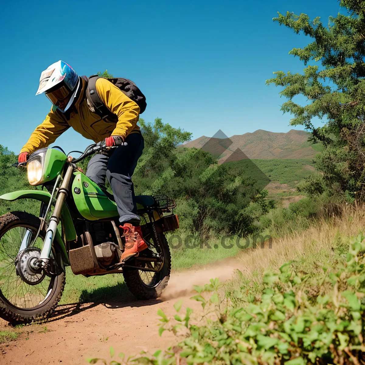 Picture of Thrilling Mountain Bike Race: Champion Biker Speeding through Adventure