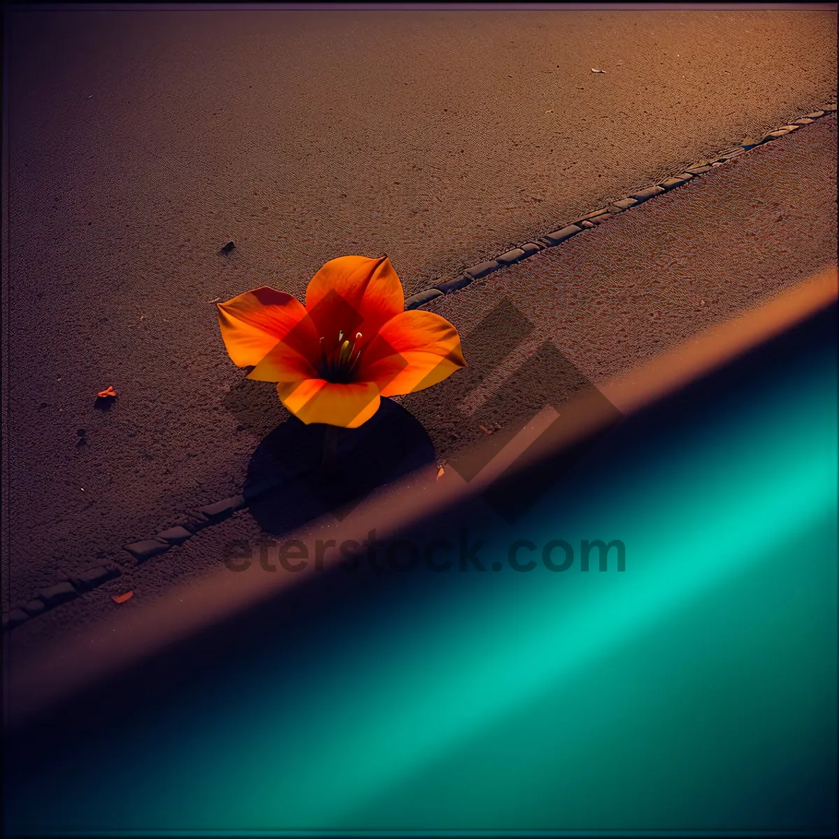 Picture of Yellow Scarlet Pimpernel Flower in Spring Garden