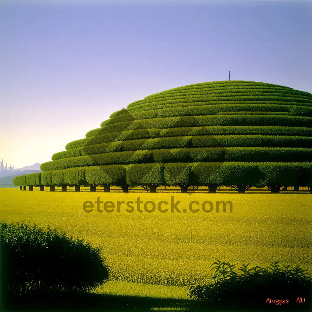 Picture of Rural Landscape with Planetarium and Scenic Rapeseed Field