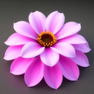 Romantic Lotus Blossom in Pink