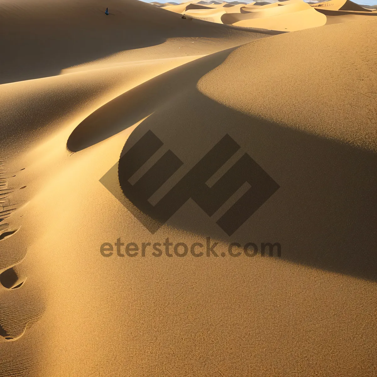 Picture of Desert Dunes - Train Journey Through Sand