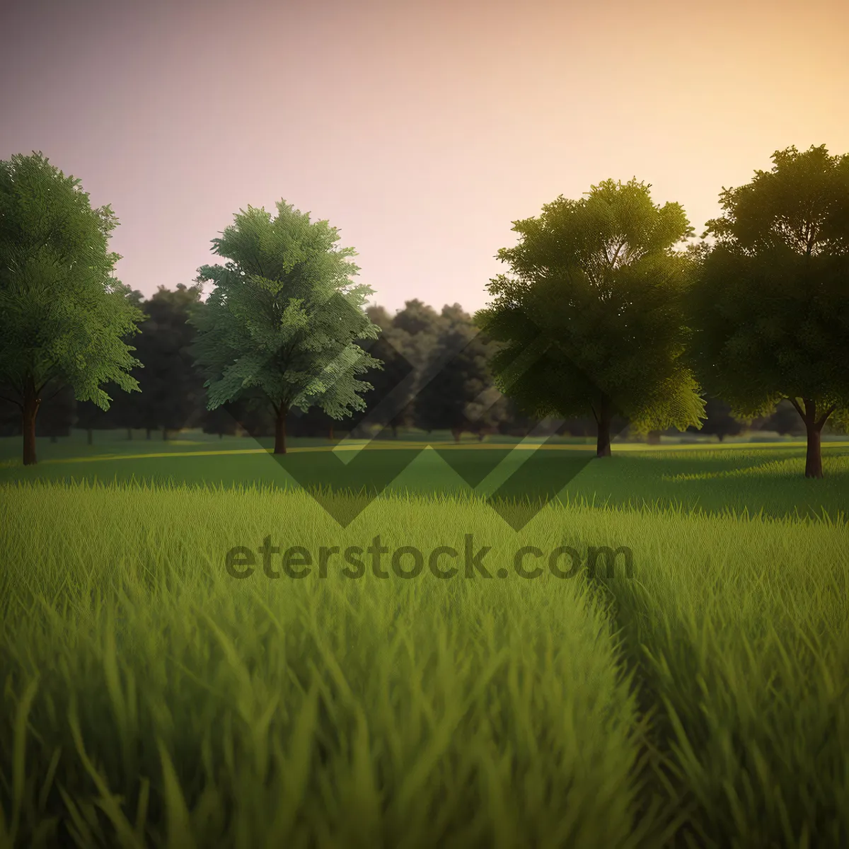 Picture of Serene Sunny Farming Landscape with Rice Fields