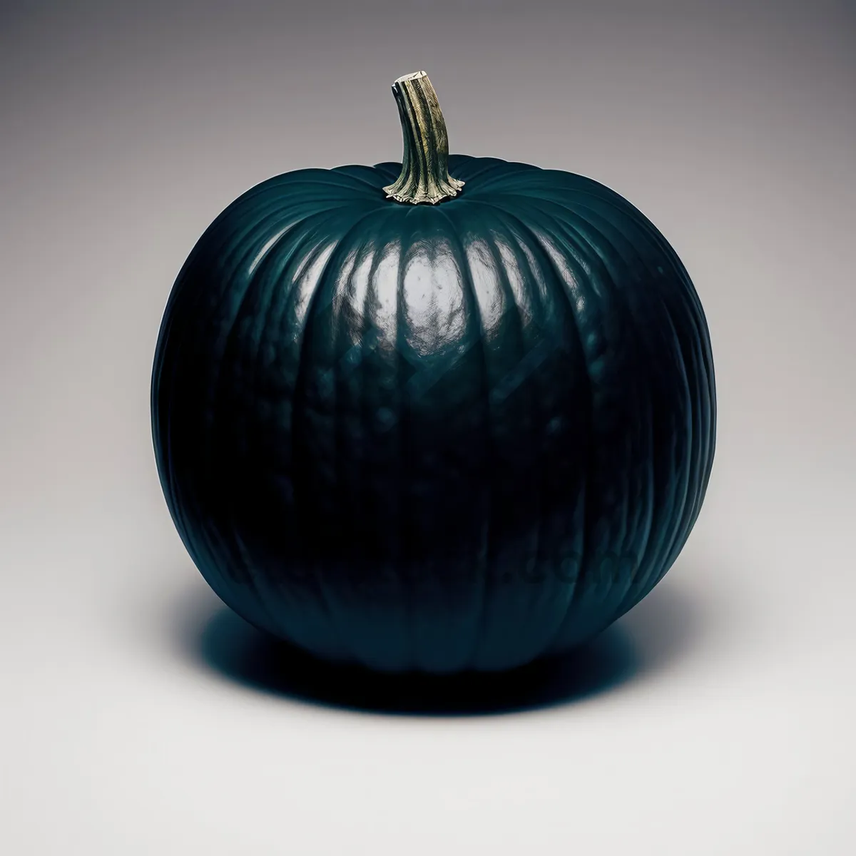 Picture of Harvest squash and ripe pumpkins for Thanksgiving decoration