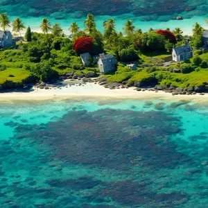 Beach Bliss: A Tropical Paradise by the Sea