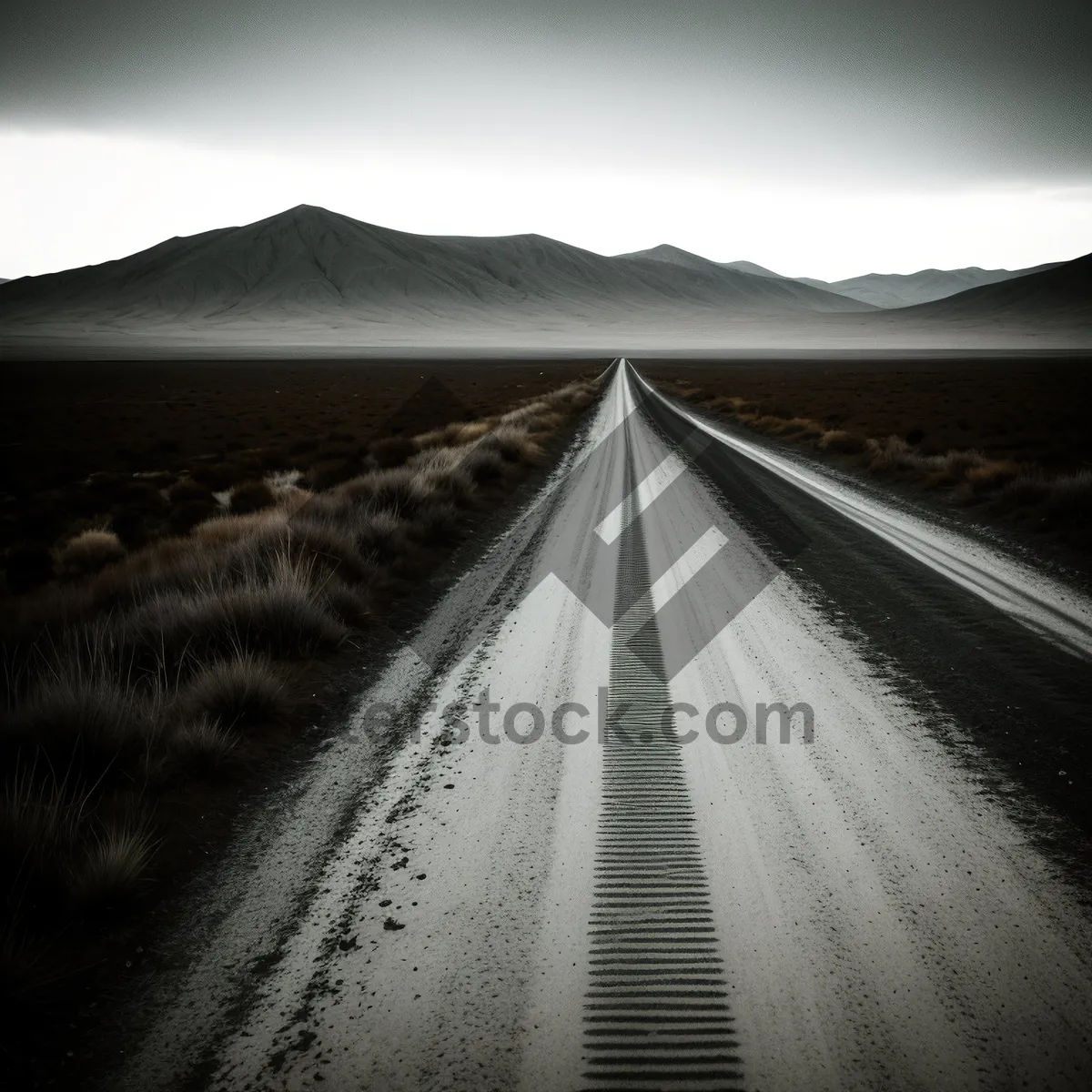 Picture of Endless Road: A Journey Through the Horizon