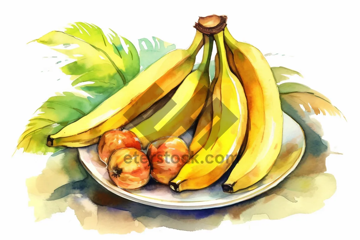 Picture of Fresh Yellow Banana Bunch - Healthy Sweet Fruit Image