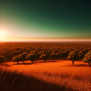 Vibrant Sunset Over Desert Dunes