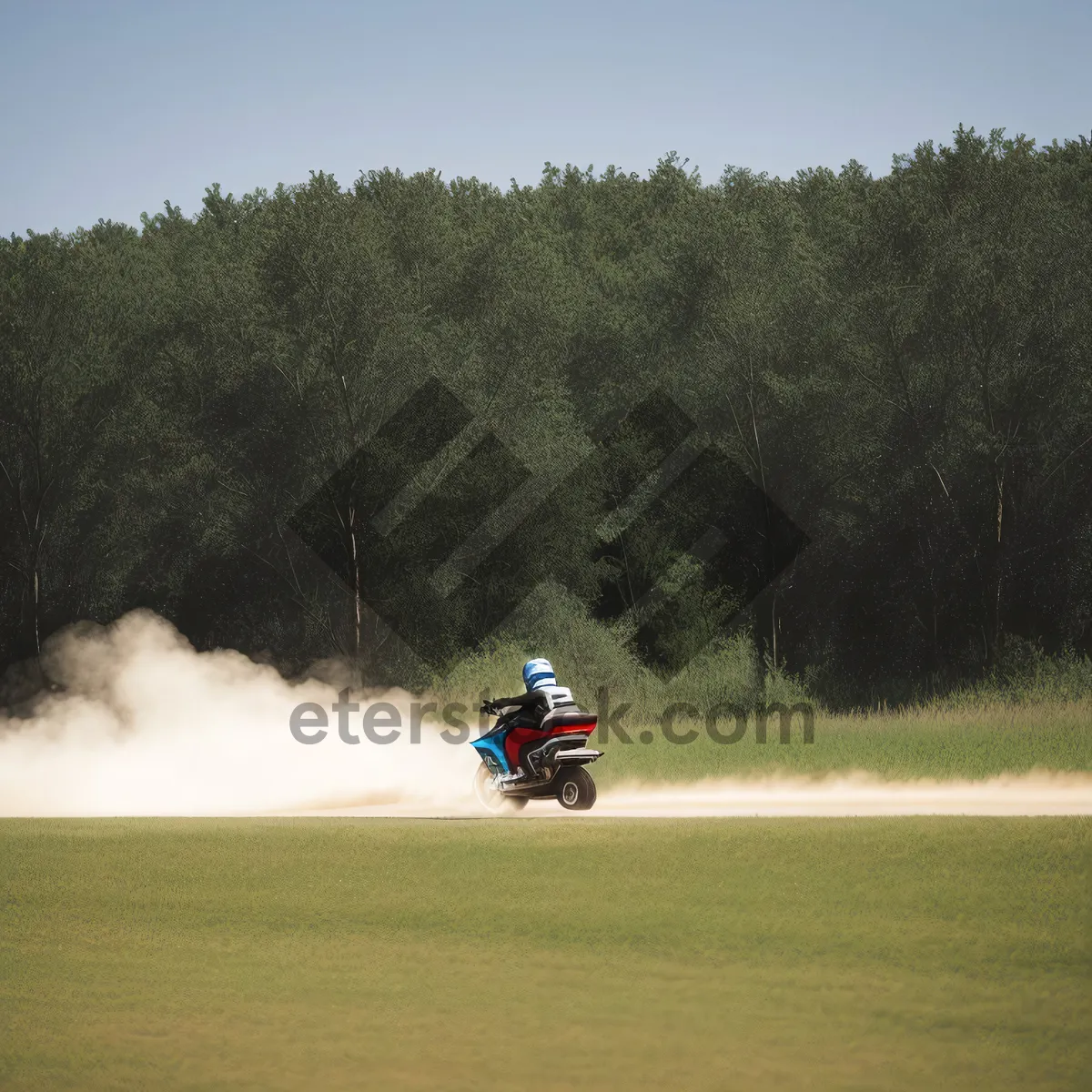 Picture of Speeding through the green on a go-kart