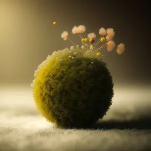 Yellow Floral Tennis Ball in Natural Setting