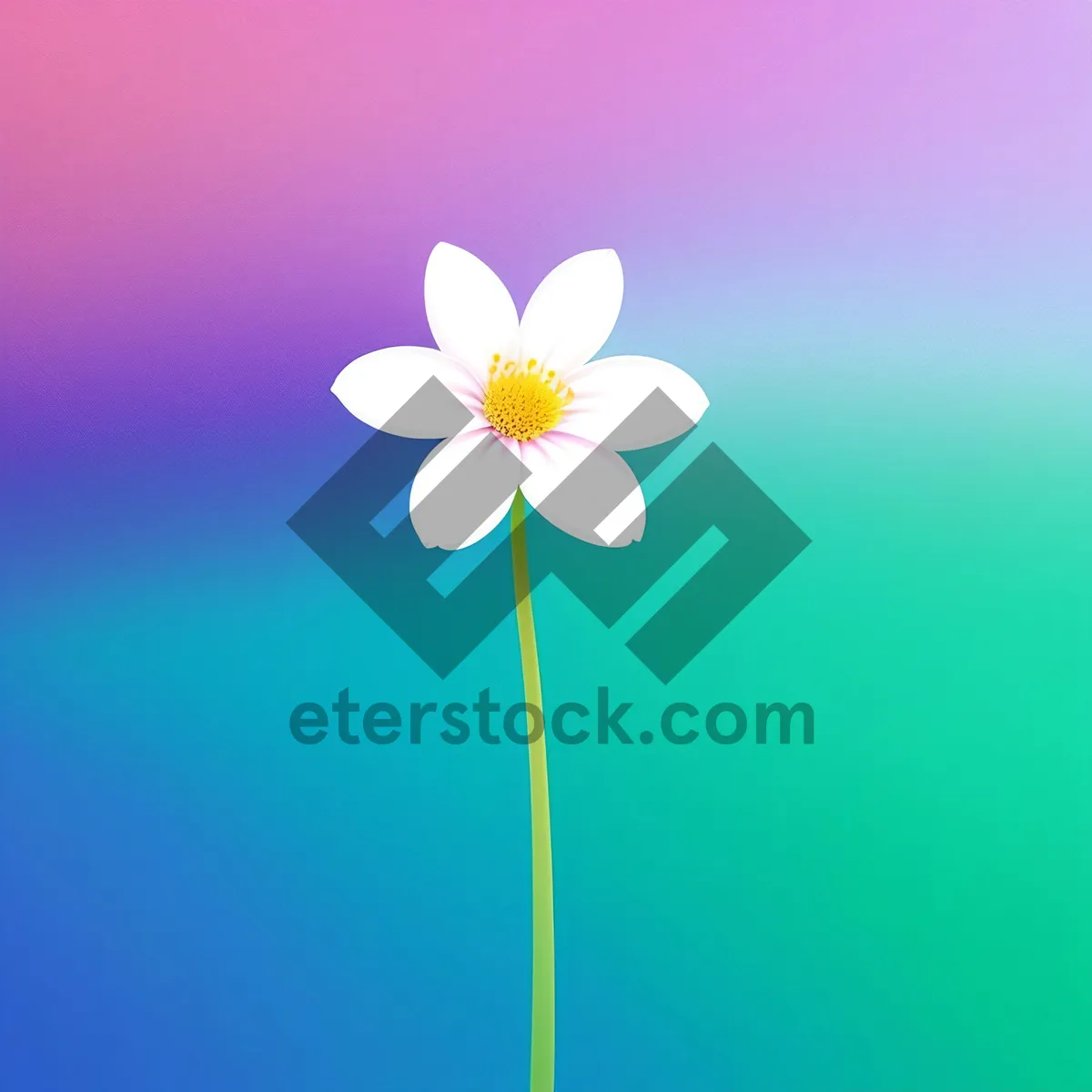 Picture of Bright Daisy Blossom in Garden