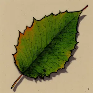 Autumn Leaf Larva Closeup: Nature's Colorful Organism