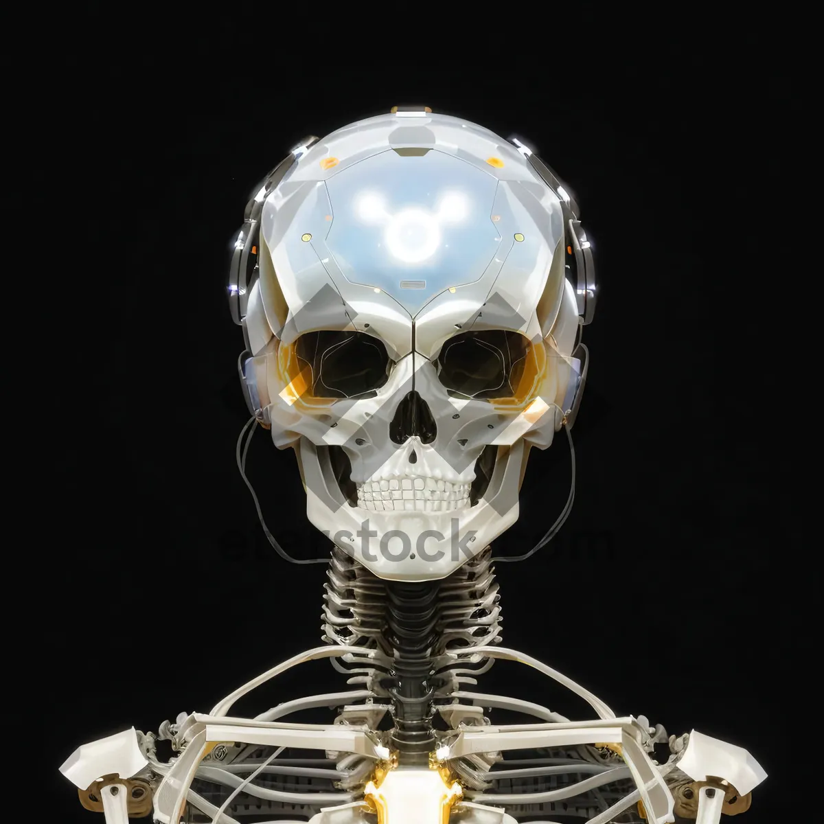 Picture of Scary Pirate Skeleton Head - Anatomy Horror