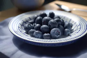 Fresh and Juicy Blueberry Snack