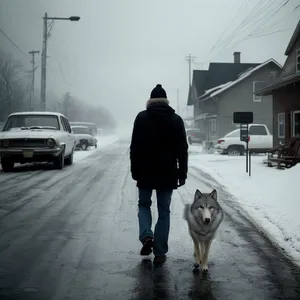 Snowy Malamute Sled Dog in Winter Landscape