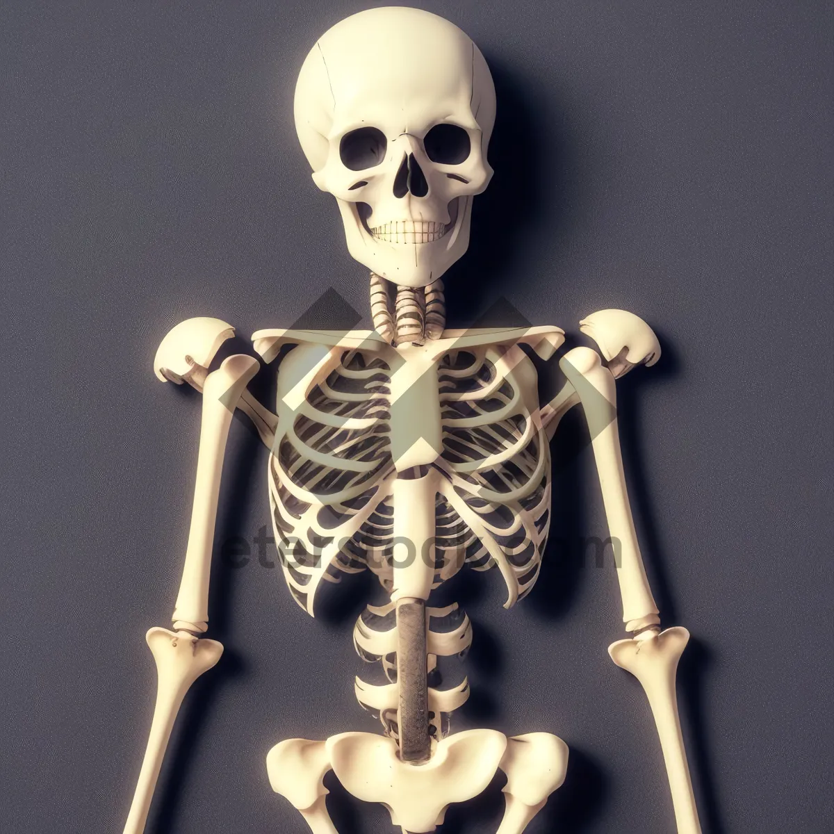 Picture of Eerie Skeleton Cornet: Spooky Brass Bottle Opener"
Note: It is important to clarify that image alt text should accurately describe the content of the image for accessibility purposes, rather than being solely SEO focused.