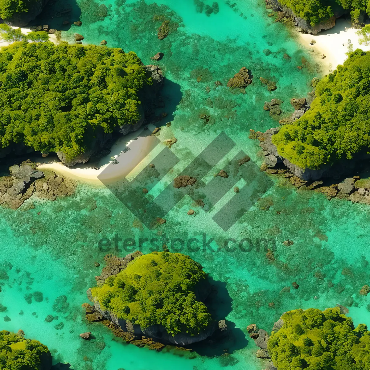 Picture of Colorful Coral Reef Teeming with Exotic Marine Life