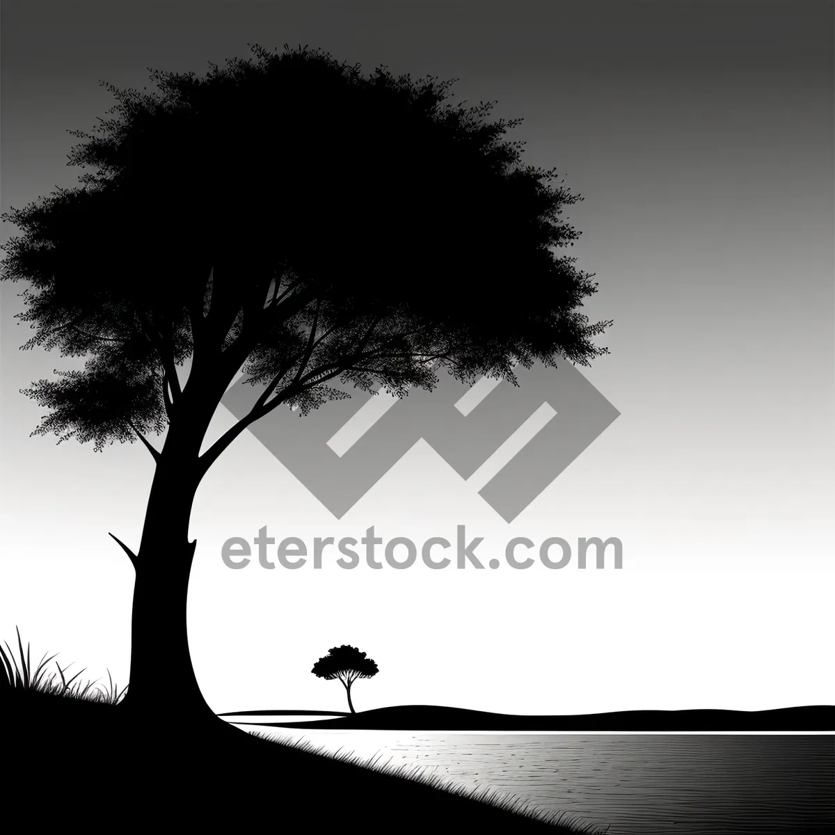 Picture of Seasonal Forest Silhouette with Tracing Branches