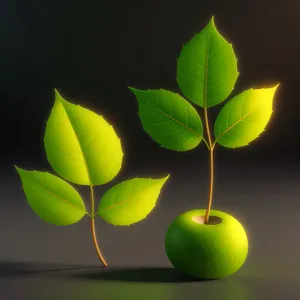 Juicy Apple Freshness in Closeup