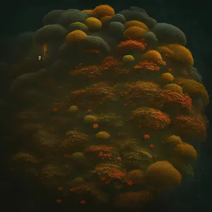 Colorful Tropical Underwater Jellyfish Colony in Sunlit Reef