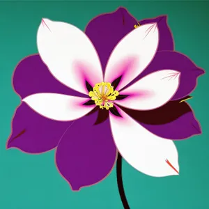 Pink Lotus Floral Card Decoration