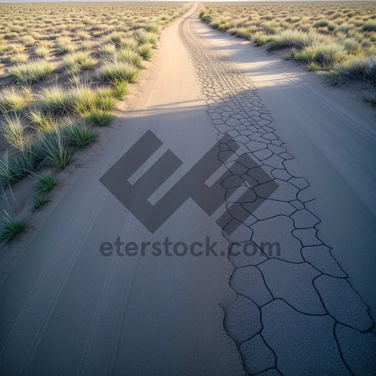 Picture of Scenic Highway Bend with Empty Road