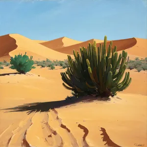 Sunny Dunescape in Arid Morocco