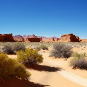 Desert National Park Vacation Sky Landscape