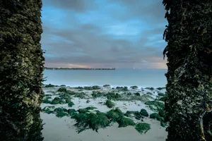 Sunset beach paradise landscape