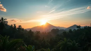 Sunset over meadow with starry sky