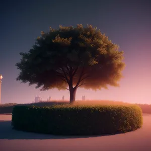 Serene Countryside Sunset with Majestic Oak Tree