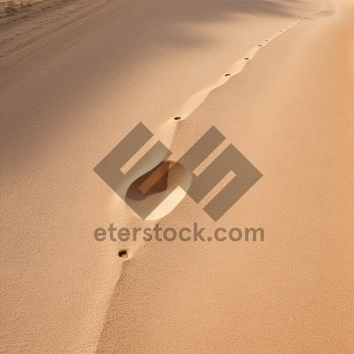 Picture of Sun-kissed sand waves drift across dune pattern