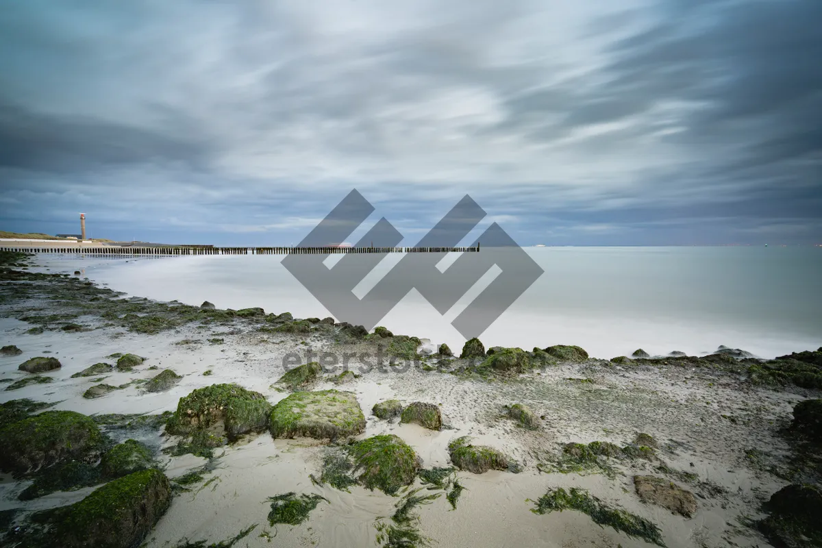 Picture of Tranquil beach scenic with waves and clouds