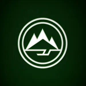 Shiny Black Circle Bank Icon