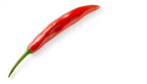 Spicy Pepper Design: Vibrant Vegetable Shape and Color