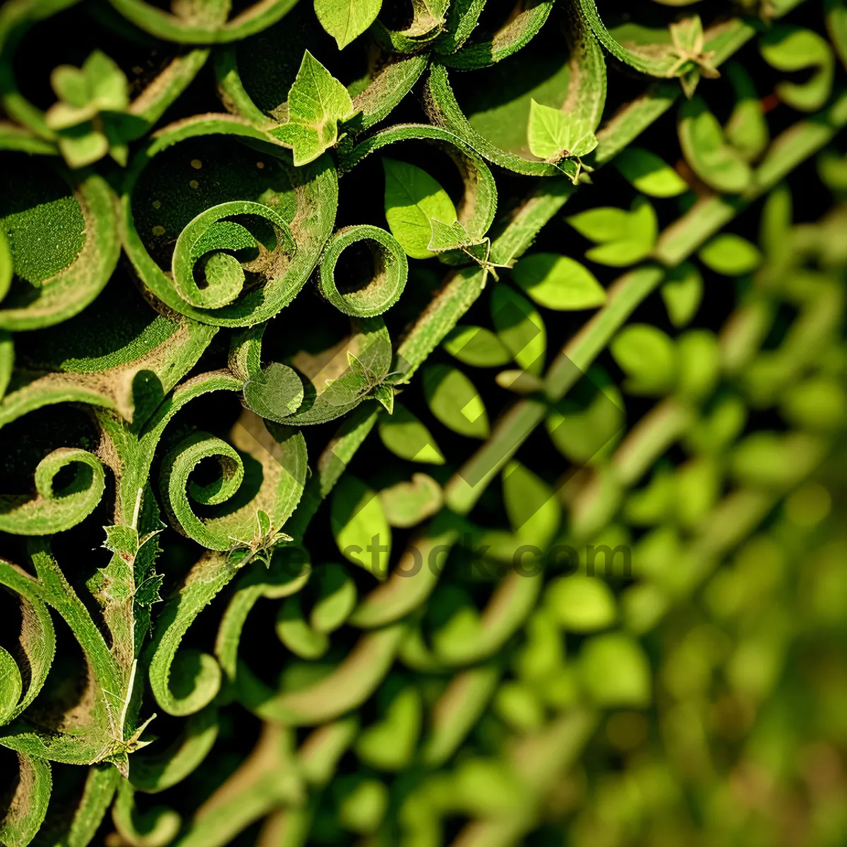 Picture of Artistic Plant Patterned Textured Wallpaper Design