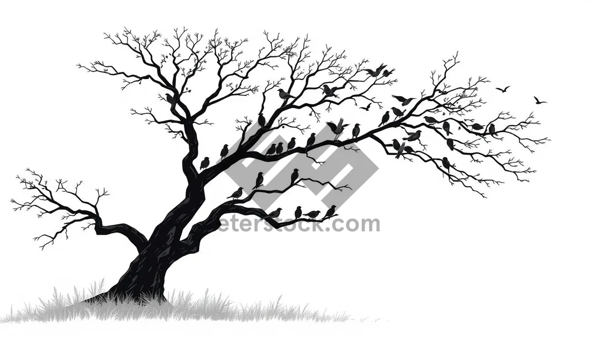 Picture of Silhouette of Oak Tree Branch Design