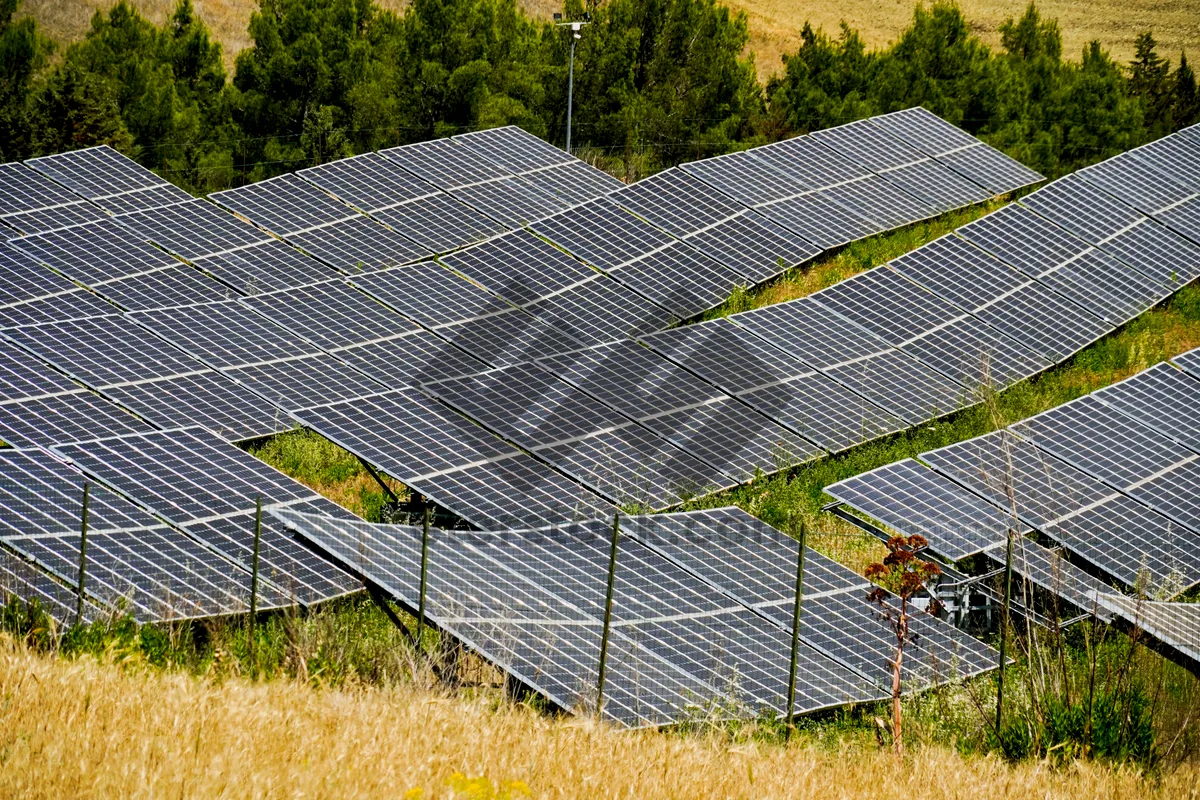 Picture of Modern solar energy generator panel in business district