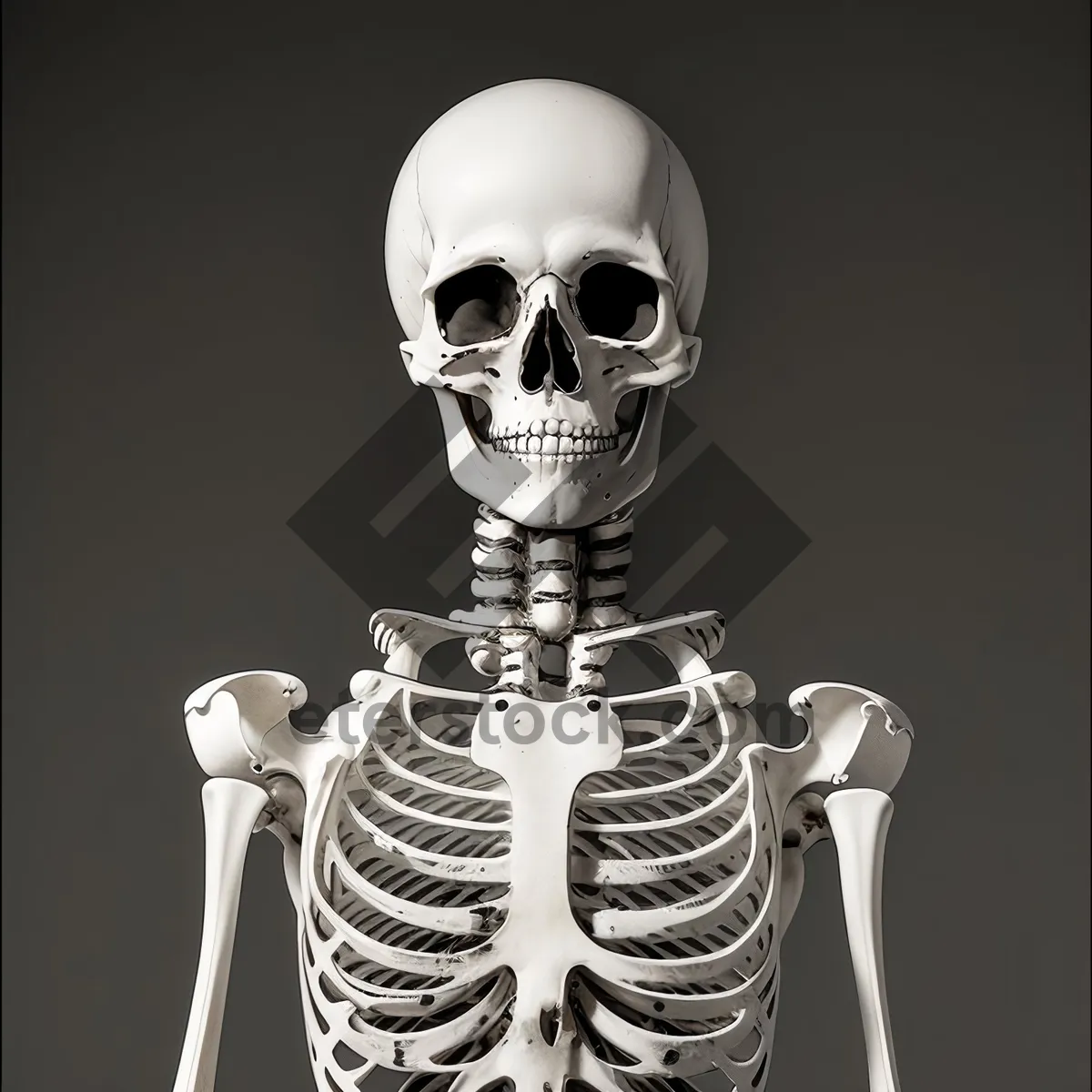 Picture of Male Skeleton Sculpture: Anatomy of Fear and Death.