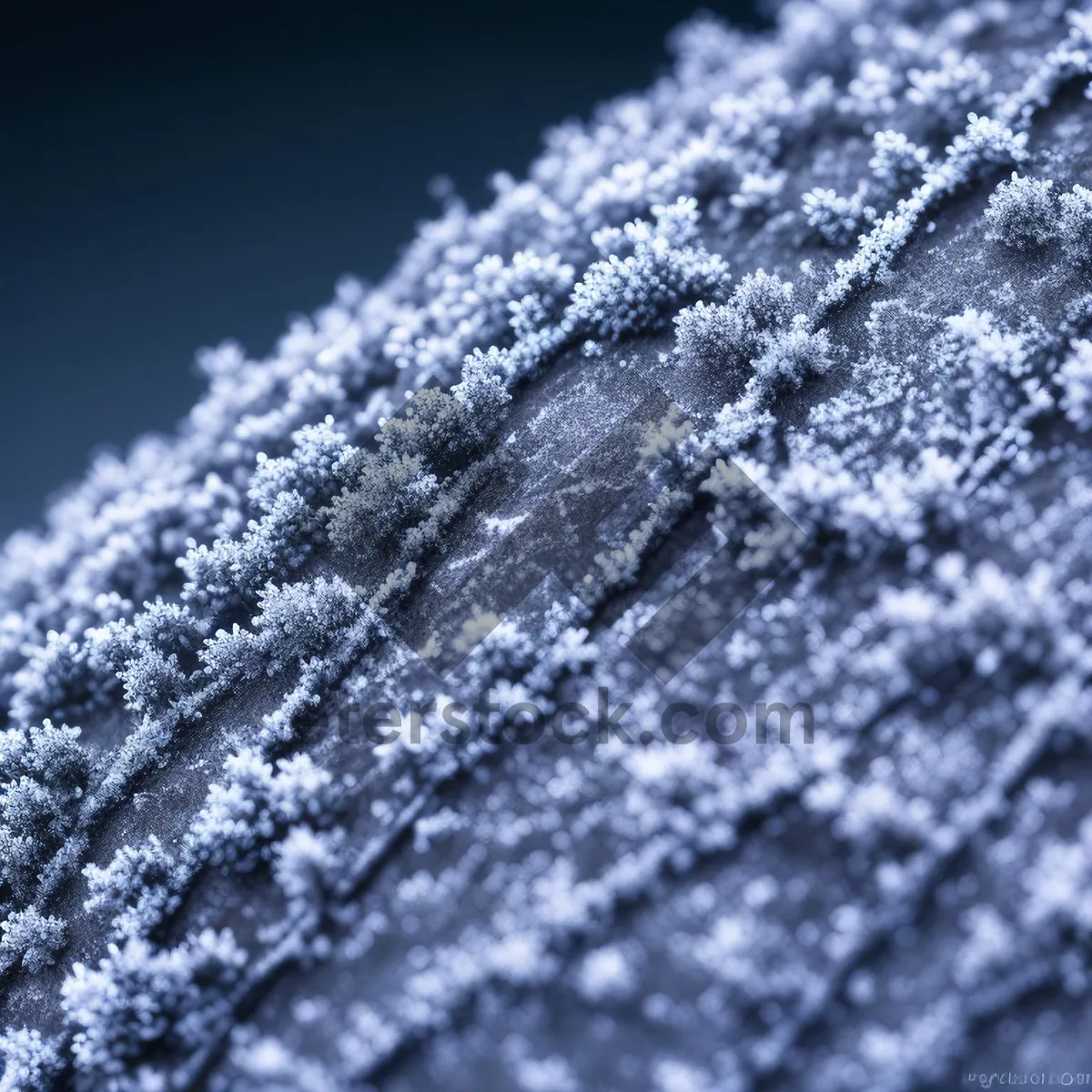 Picture of Winter Frost Crystal Texture