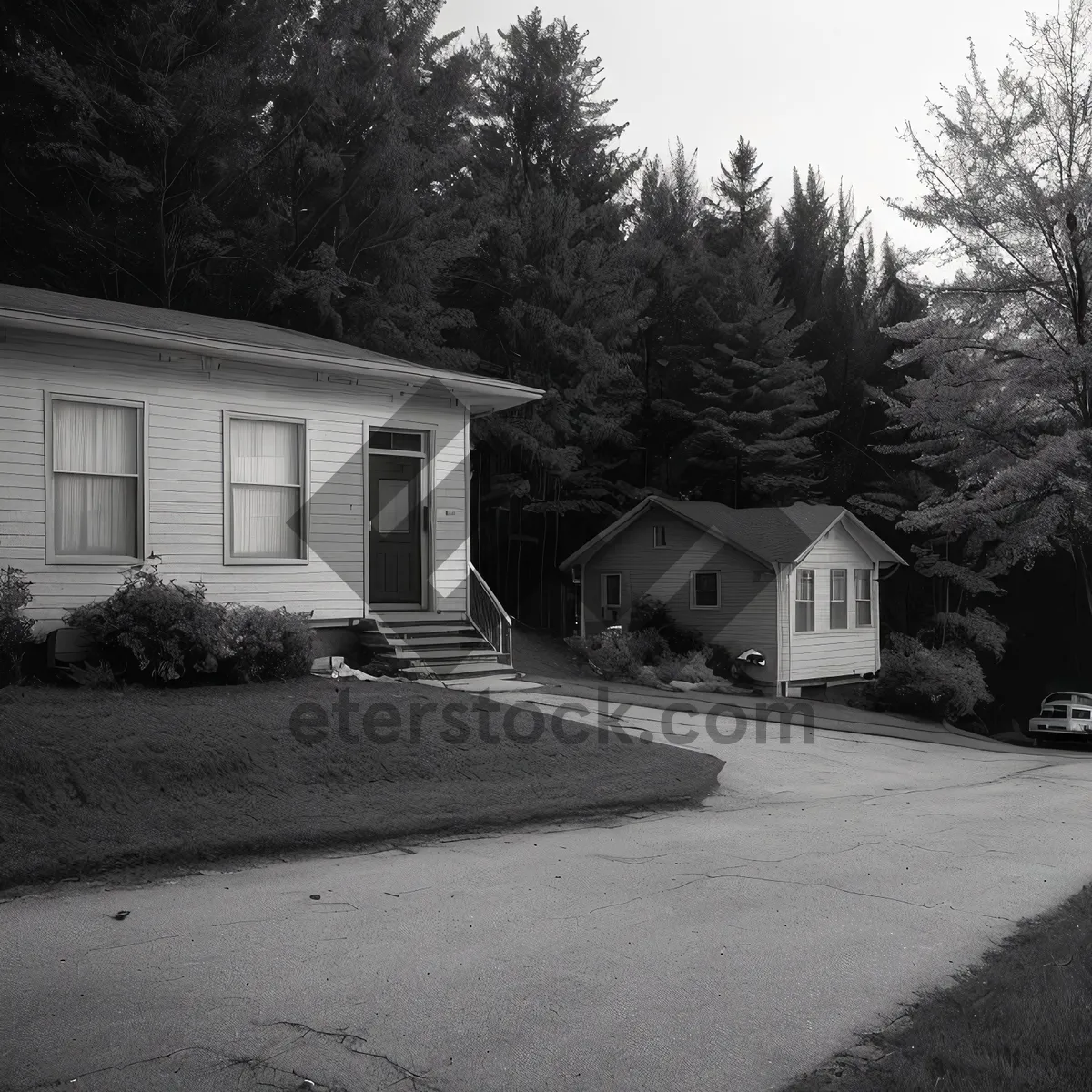 Picture of Modern Residential Home with Expensive Roof and Garage