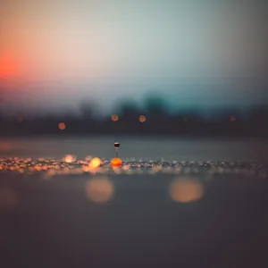 Vibrant Sunset Over Calm Ocean