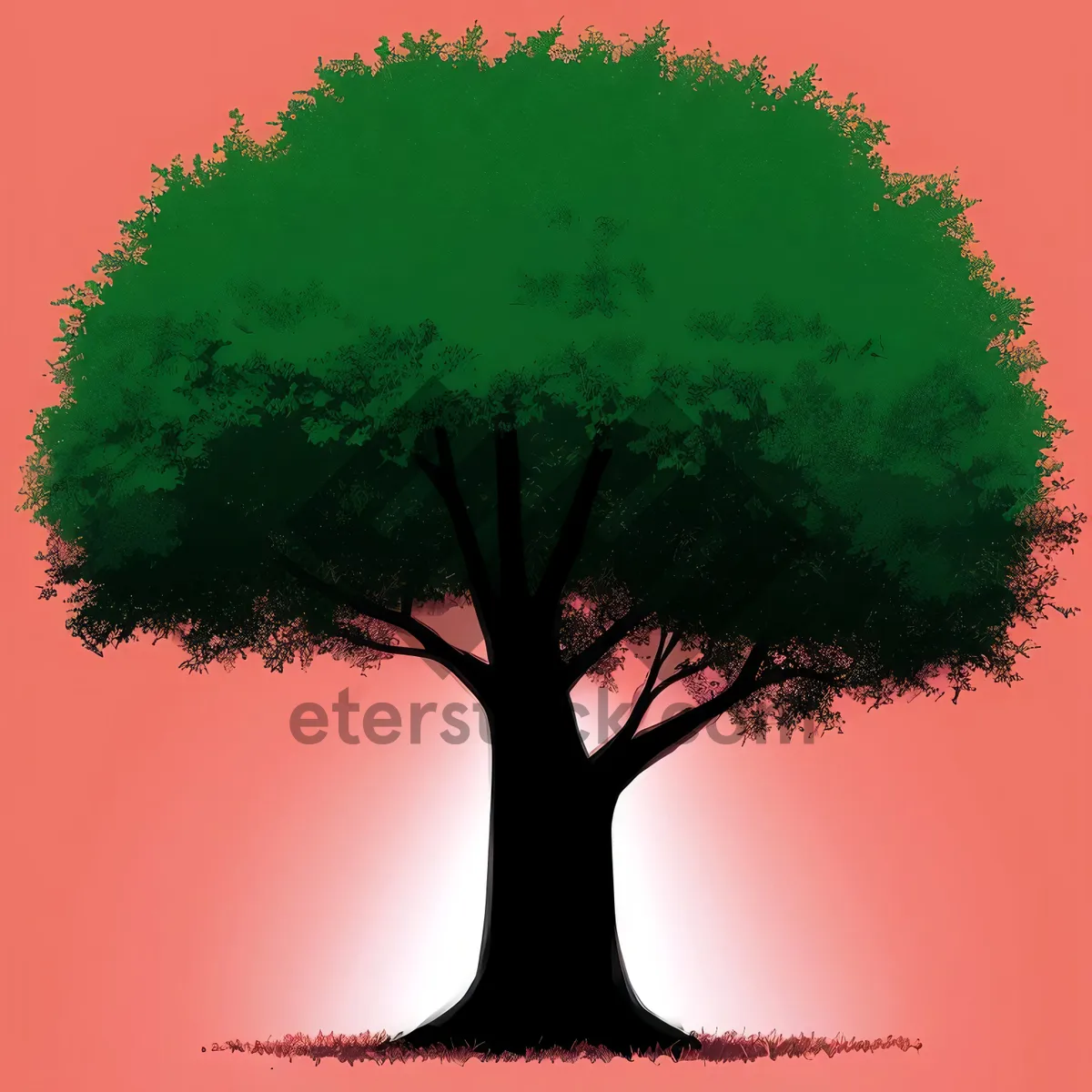 Picture of Silhouette of Evergreen Oak Tree Branch