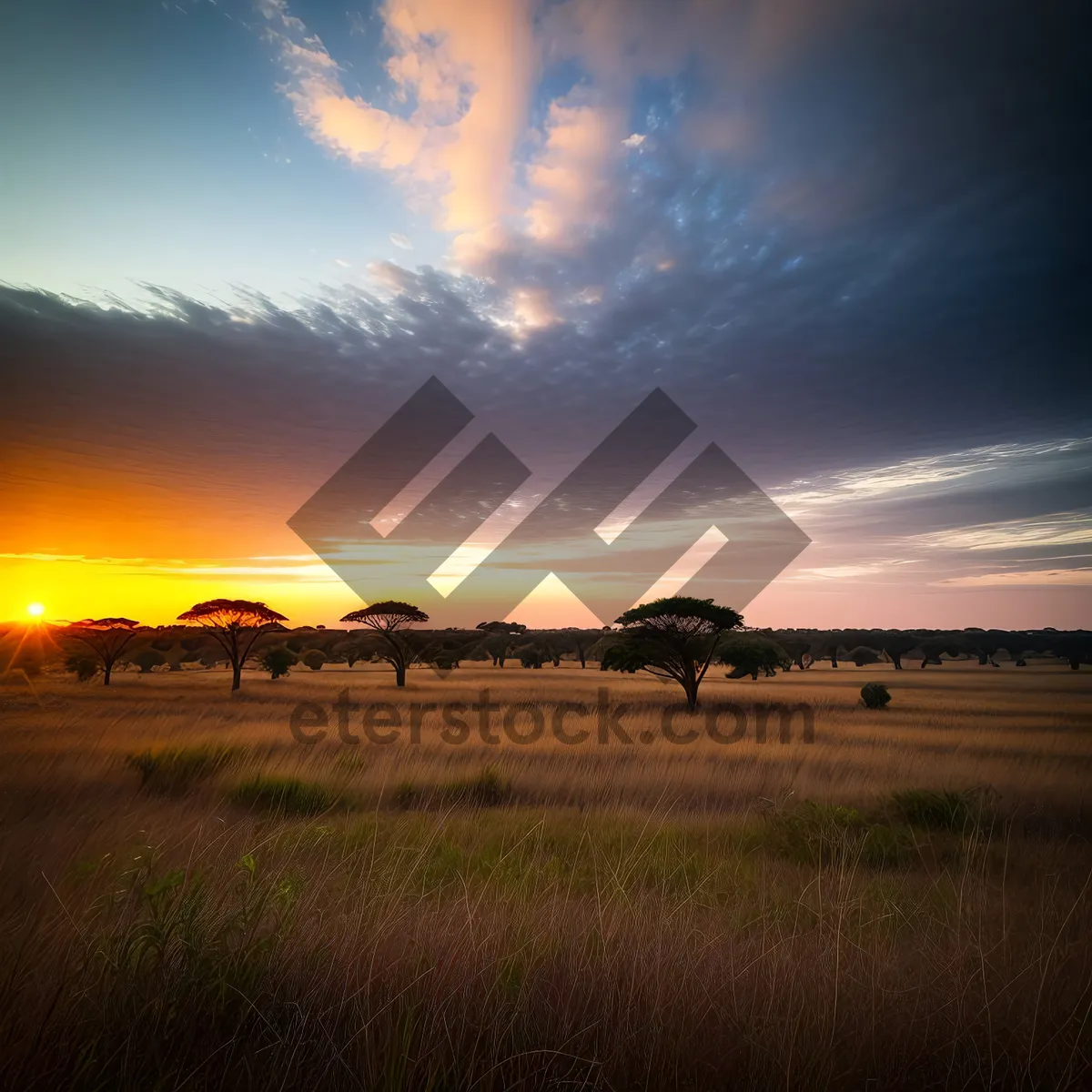 Picture of Serene Sunset Over Vast Steppe Landscape