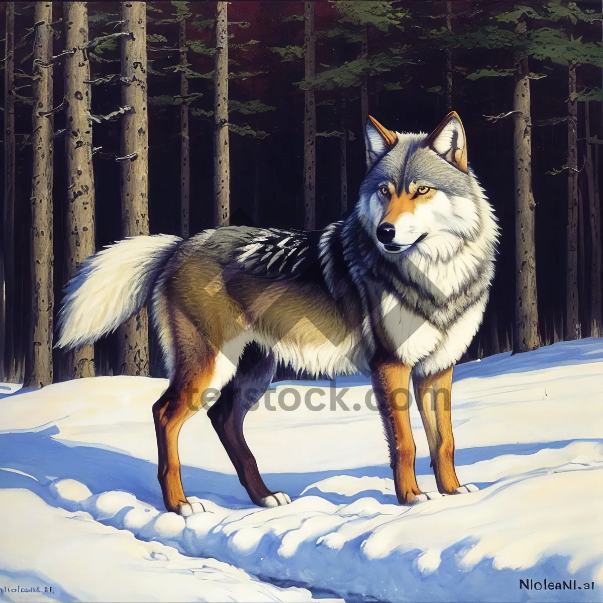 Picture of Majestic Timber Wolf in Winter Wonderland