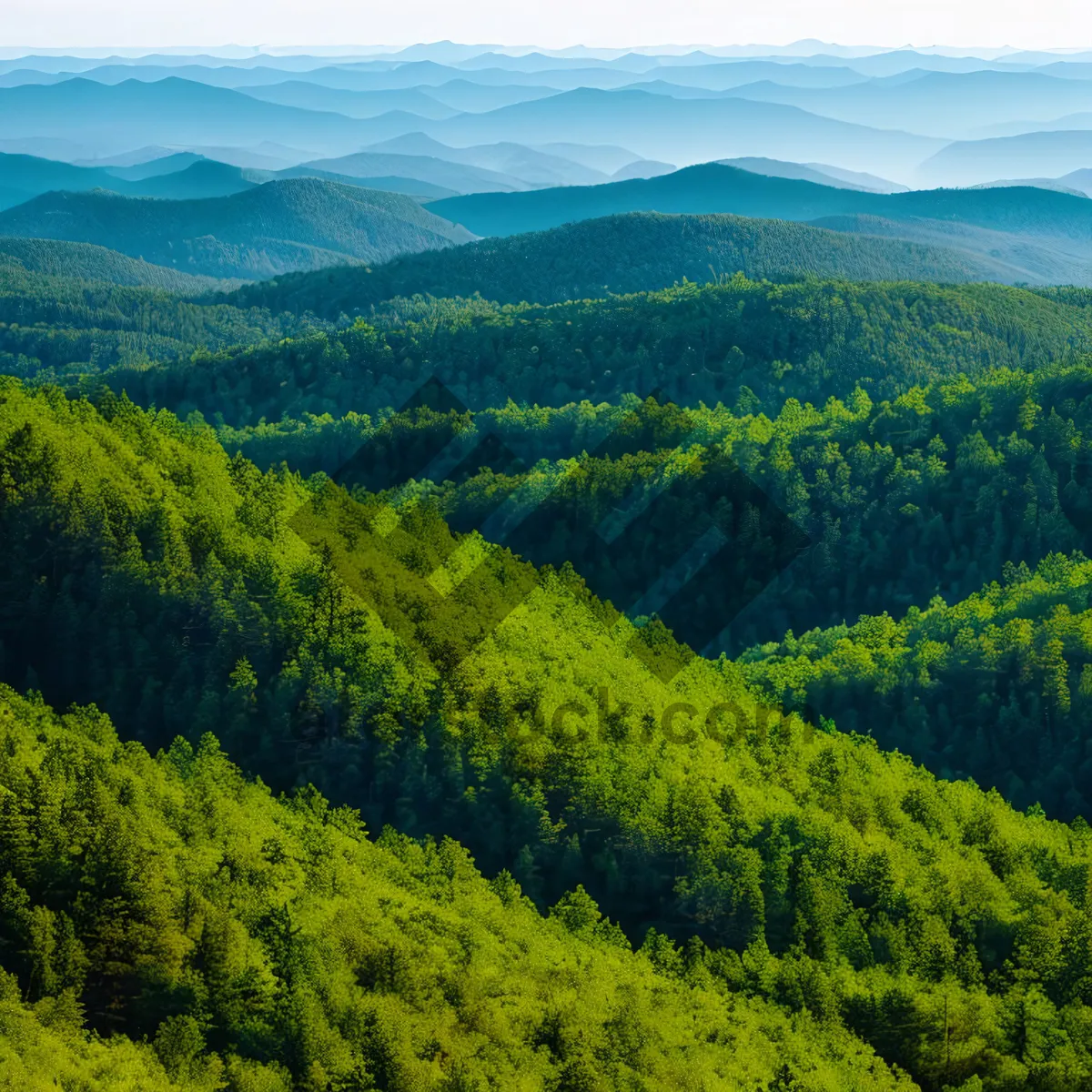 Picture of Tranquil Highland Mountain Landscape with River