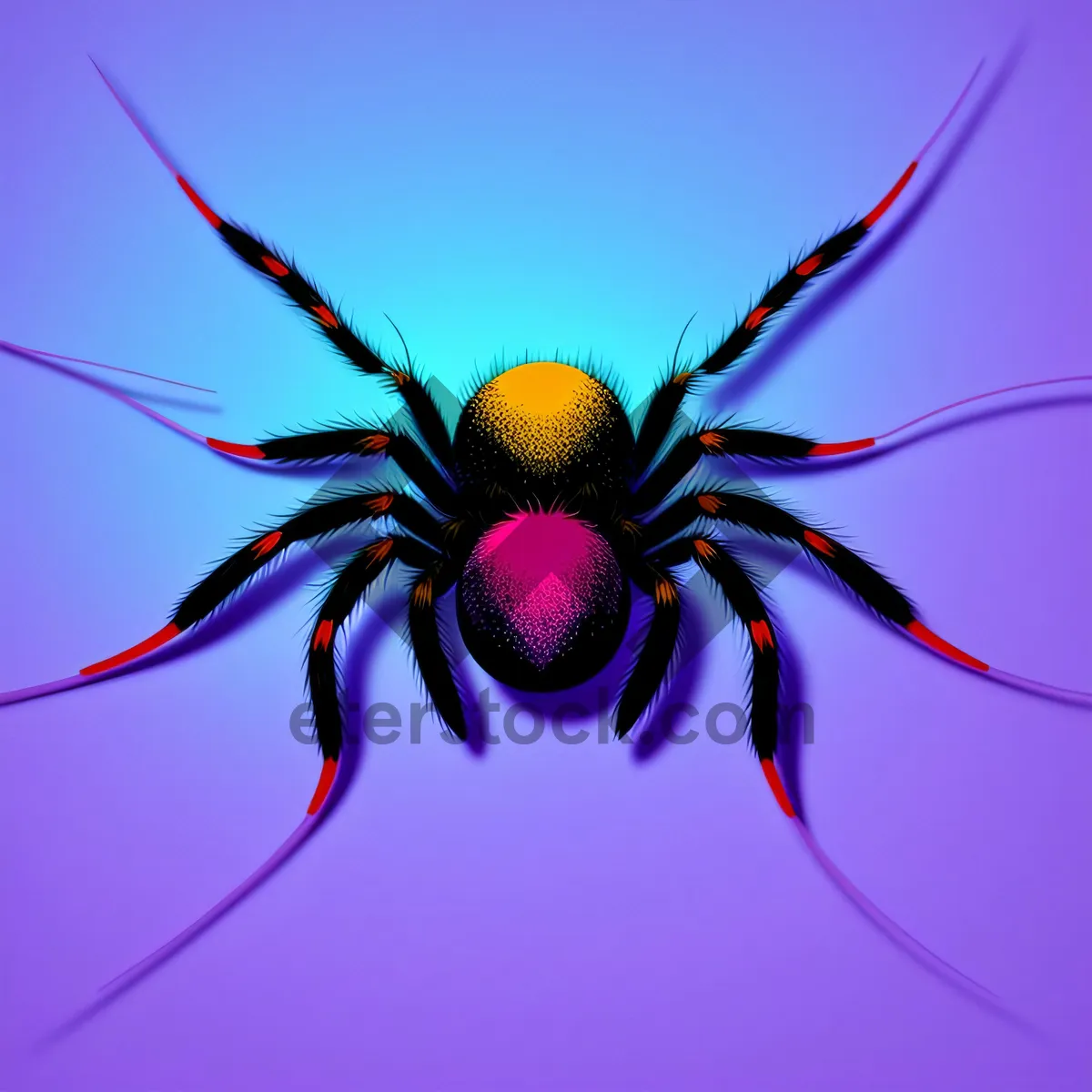 Picture of Black Widow Spider - Menacing Arachnid Invertebrate