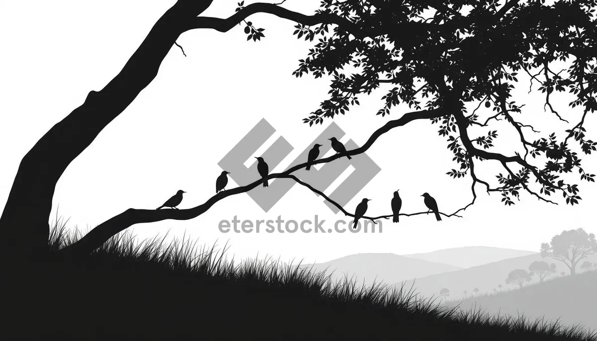 Picture of Black tree silhouette with branch tracing.
