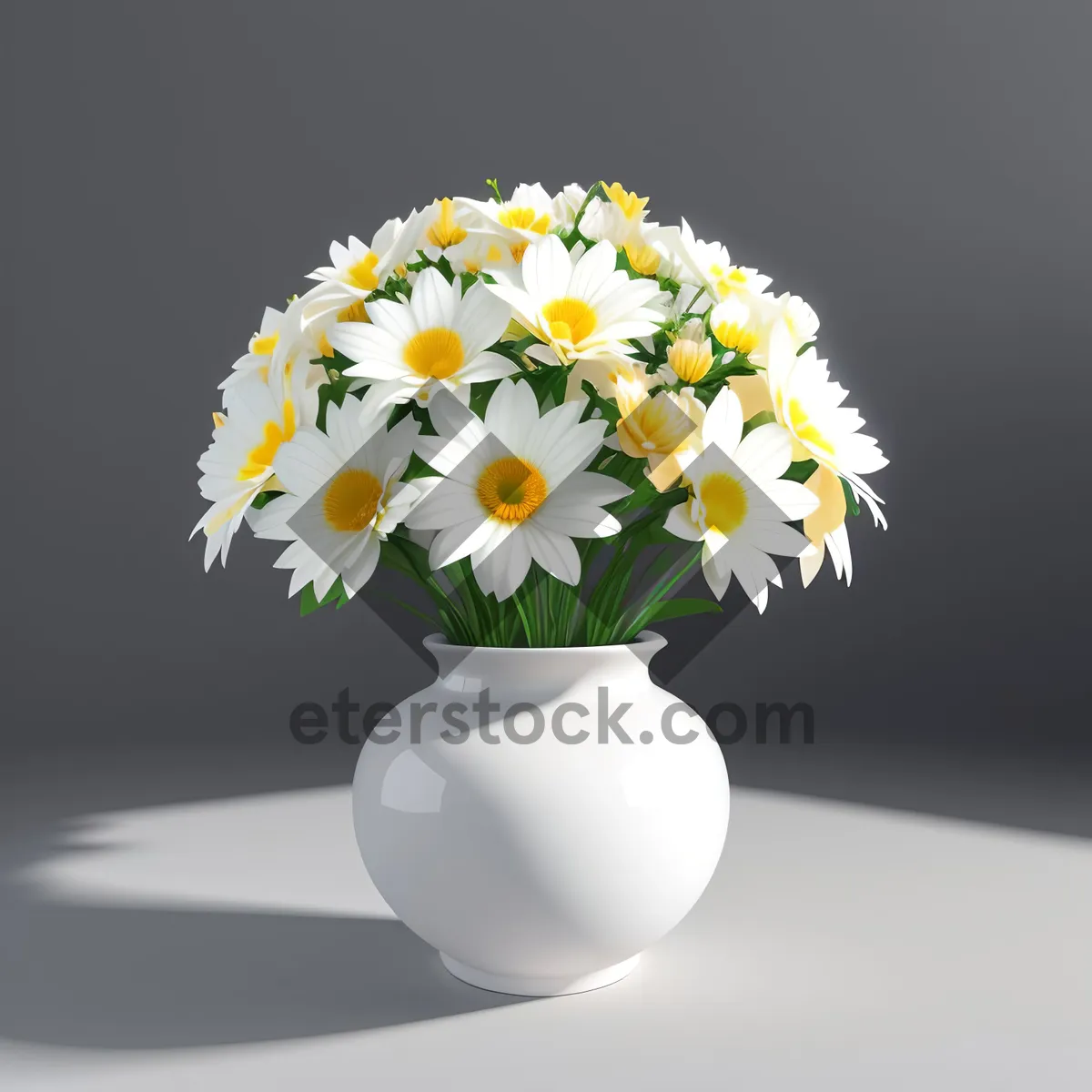 Picture of Bright Summer Daisy Blossom in White